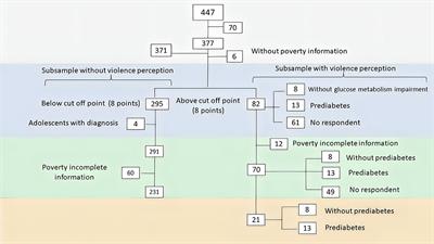 Undiagnosed prediabetes in Mexican adolescents under poverty in contexts affected by collective violence: A clinical comparison among health services users and hidden population